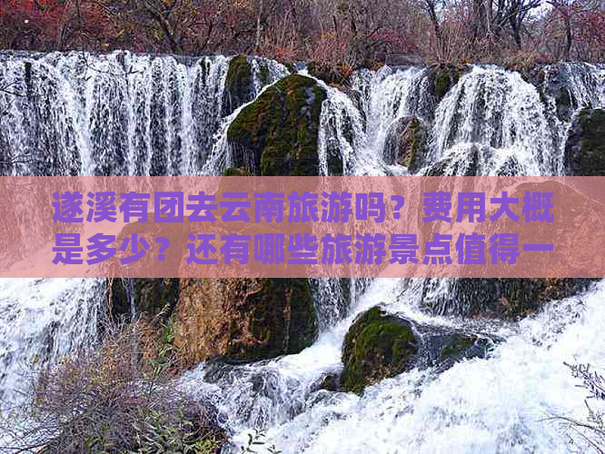 遂溪有团去云南旅游吗？费用大概是多少？还有哪些旅游景点值得一游？