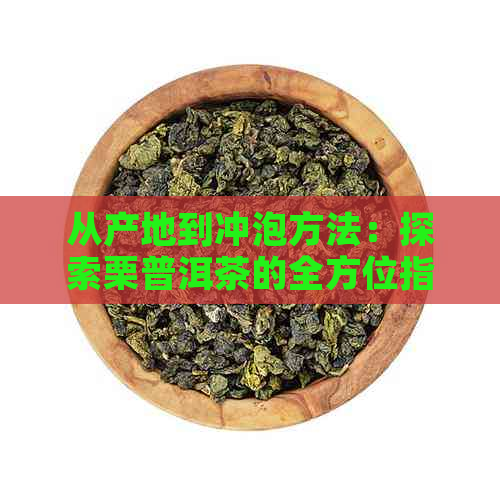 从产地到冲泡方法：探索栗普洱茶的全方位指南