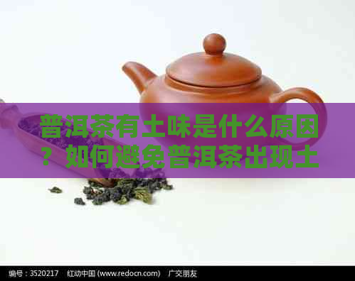 普洱茶有土味是什么原因？如何避免普洱茶出现土腥味？