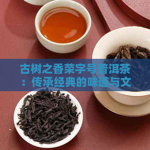 古树之香荣字号普洱茶：传承经典的味道与文化