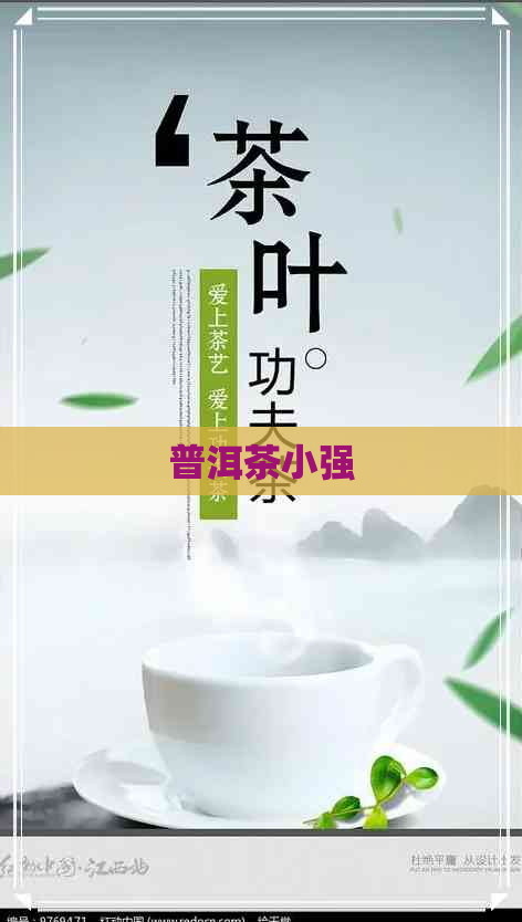 普洱茶小强