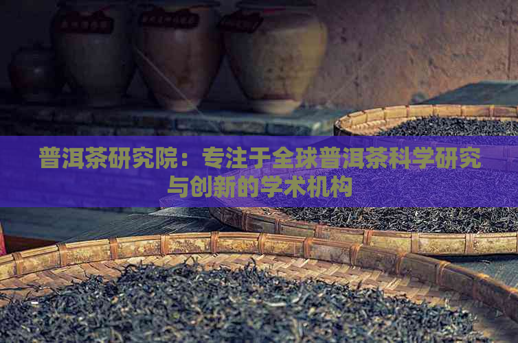 普洱茶研究院：专注于全球普洱茶科学研究与创新的学术机构