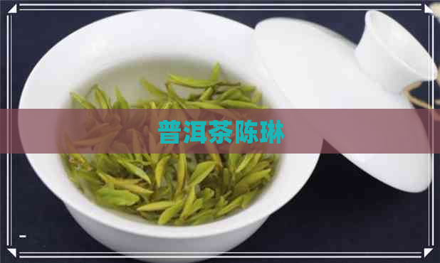 普洱茶陈琳