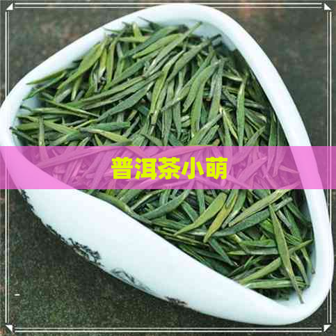 普洱茶小萌