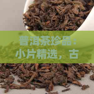 普洱茶珍品：小片精选，古树茶韵，陈化口感，茶文化传承