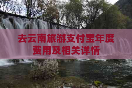 去云南旅游支付宝年度费用及相关详情