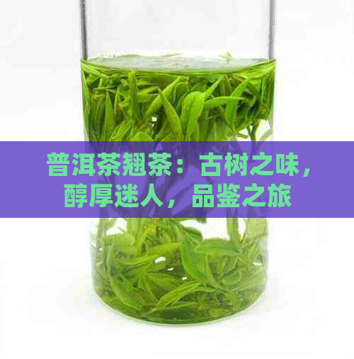 普洱茶翘茶：古树之味，醇厚迷人，品鉴之旅