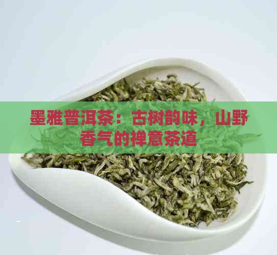 墨雅普洱茶：古树韵味，山野香气的禅意茶道