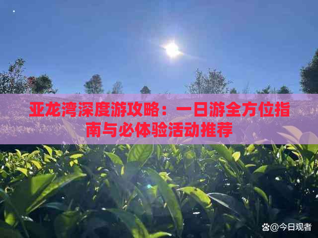 亚龙湾深度游攻略：一日游全方位指南与必体验活动推荐