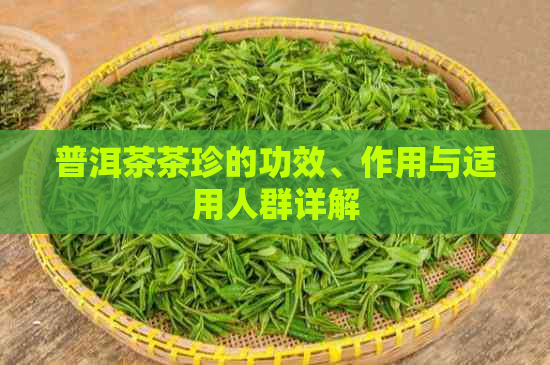 普洱茶茶珍的功效、作用与适用人群详解