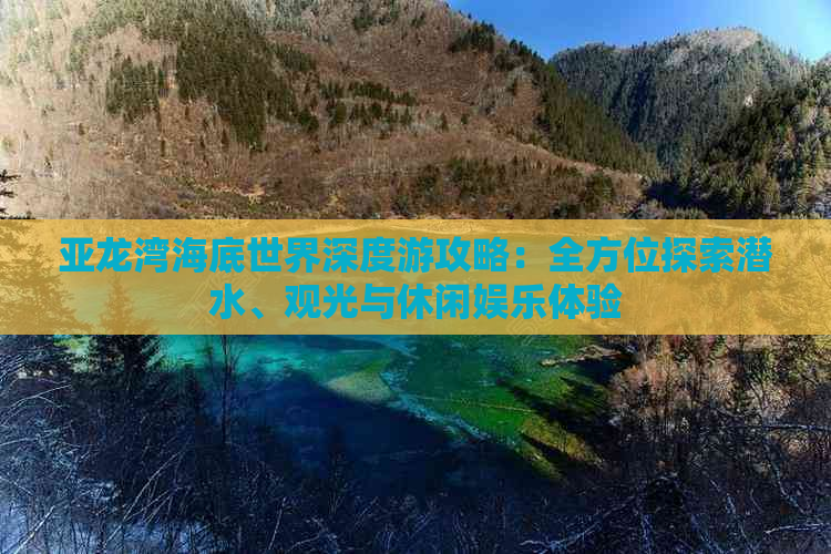 亚龙湾海底世界深度游攻略：全方位探索潜水、观光与休闲娱乐体验