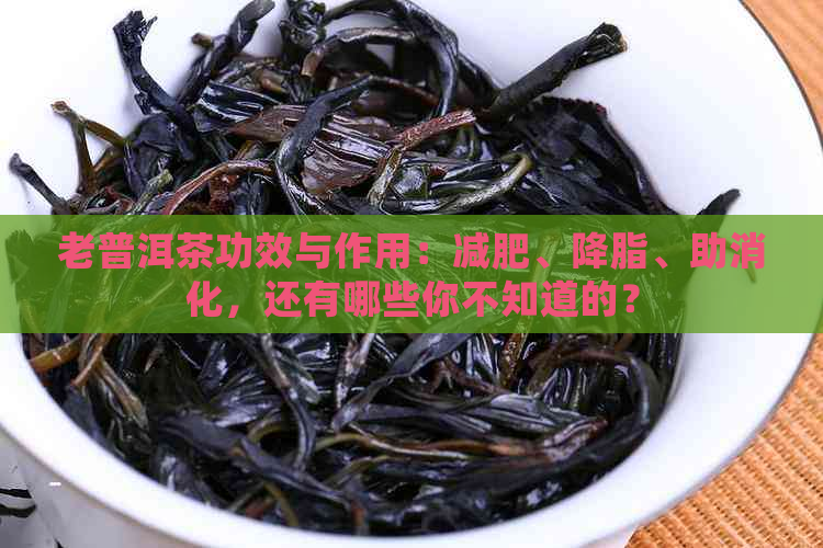 老普洱茶功效与作用：减肥、降脂、助消化，还有哪些你不知道的？