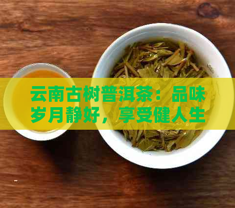 云南古树普洱茶：品味岁月静好，享受健人生