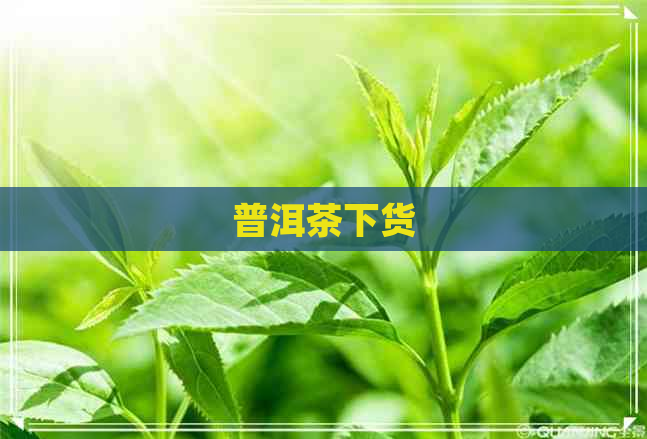 普洱茶下货