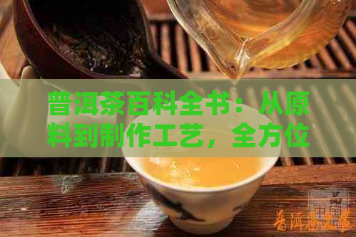 普洱茶百科全书：从原料到制作工艺，全方位解答您的疑问