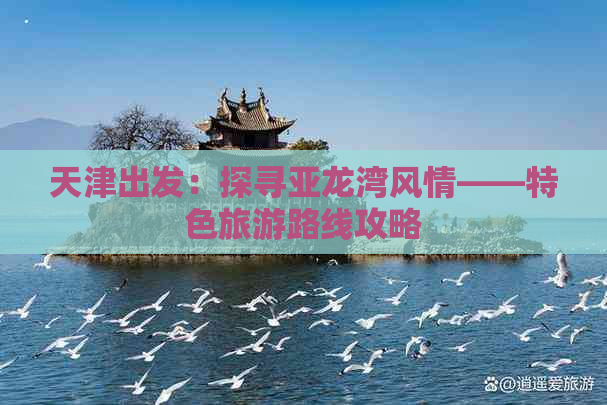 天津出发：探寻亚龙湾风情——特色旅游路线攻略