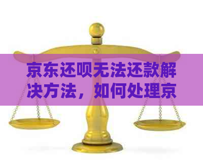 京东还呗无法还款解决方法，如何处理京东还呗不能还款问题？