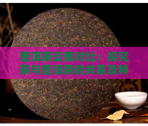 普洱茶云南对比：探究茶与普洱茶的关系及特色，品味5815普洱生茶