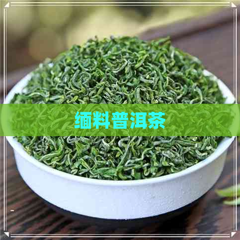 缅料普洱茶