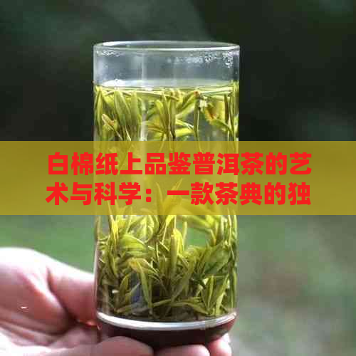 白棉纸上品鉴普洱茶的艺术与科学：一款茶典的独特解读