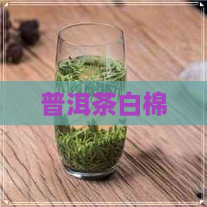 普洱茶白棉