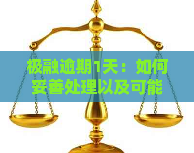 极融逾期1天：如何妥善处理以及可能的后果与解决办法