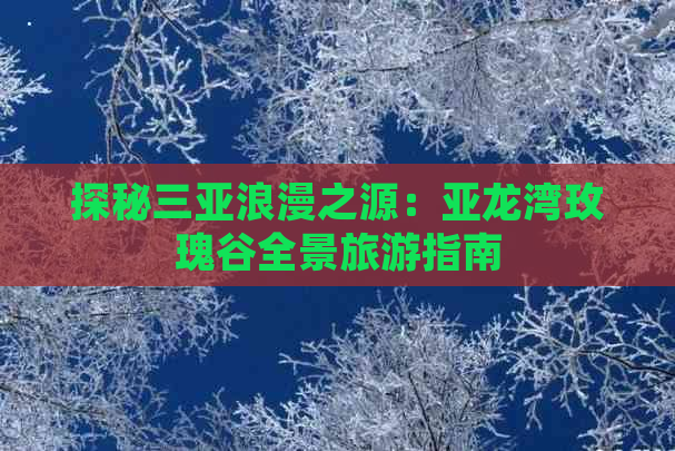 探秘三亚浪漫之源：亚龙湾玫瑰谷全景旅游指南