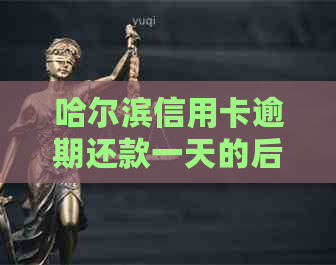 哈尔滨信用卡逾期还款一天的后果及解决方法，避免逾期记录影响信用！