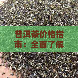 普洱茶价格指南：全面了解普洱茶品种、品质与市场行情