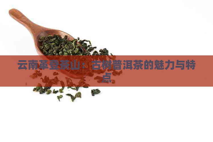 云南革登茶山：古树普洱茶的魅力与特点