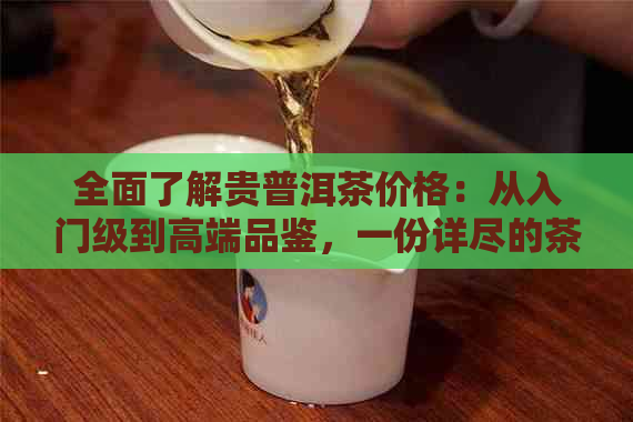 全面了解贵普洱茶价格：从入门级到高端品鉴，一份详尽的茶叶价格表