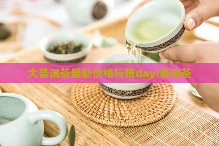 大普洱茶最新价格行情dayi普洱茶