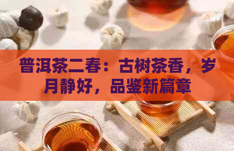 普洱茶二春：古树茶香，岁月静好，品鉴新篇章