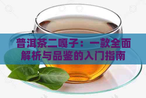 普洱茶二嘎子：一款全面解析与品鉴的入门指南