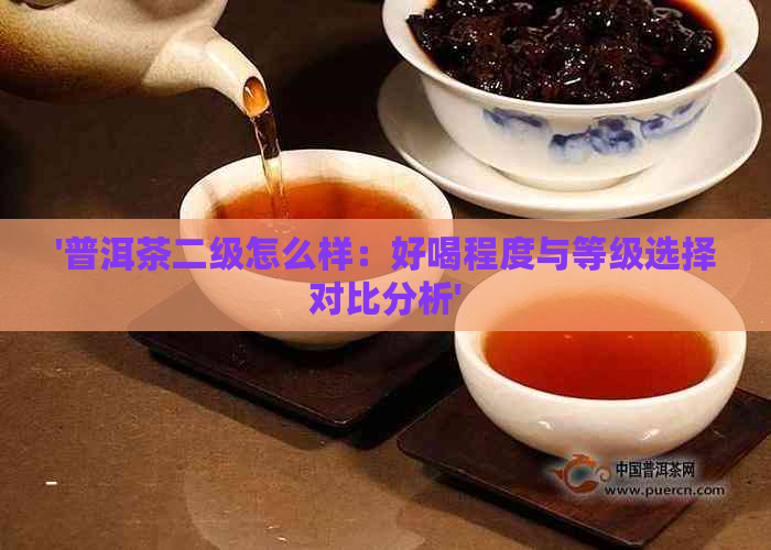 '普洱茶二级怎么样：好喝程度与等级选择对比分析'