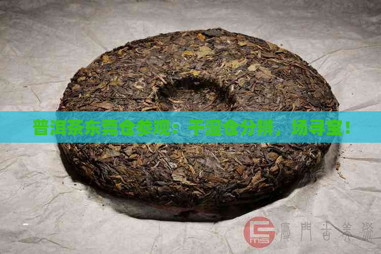 普洱茶东莞仓参观：干湿仓分辨，场寻宝！