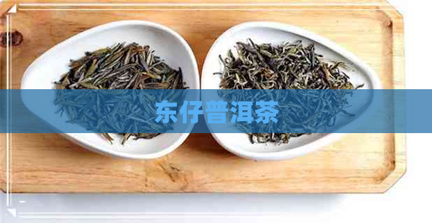 东仔普洱茶