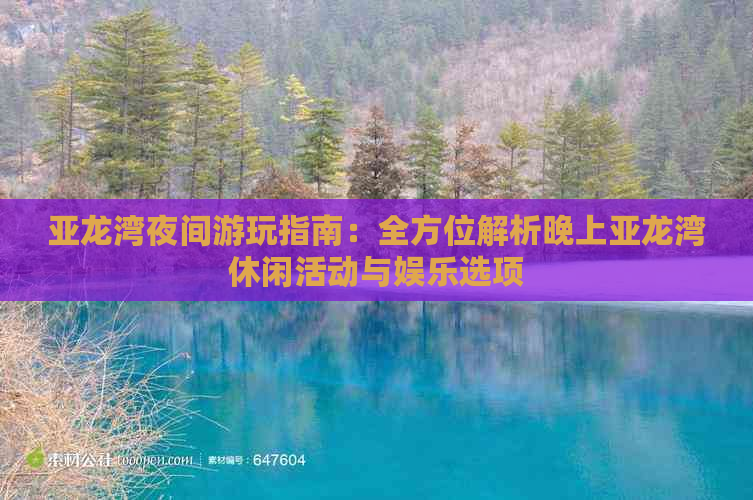 亚龙湾夜间游玩指南：全方位解析晚上亚龙湾休闲活动与娱乐选项