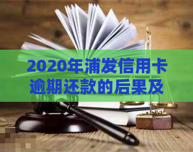 2020年浦发信用卡逾期还款的后果及应对策略：起诉概率分析