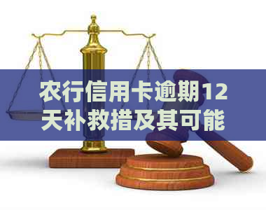 农行信用卡逾期12天补救措及其可能的影响：如何应对逾期还款问题？