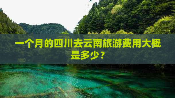 一个月的四川去云南旅游费用大概是多少？