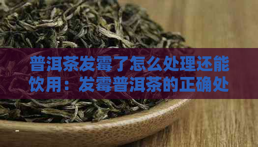 普洱茶发霉了怎么处理还能饮用：发霉普洱茶的正确处理方式