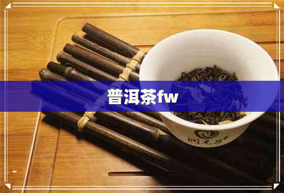 普洱茶fw