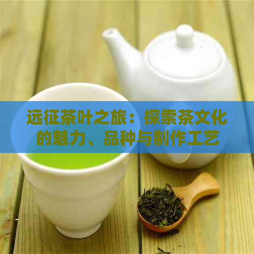 远征茶叶之旅：探索茶文化的魅力、品种与制作工艺