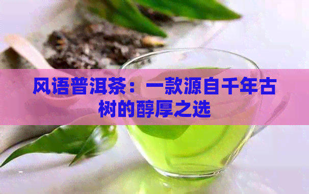 风语普洱茶：一款源自千年古树的醇厚之选