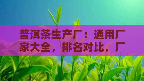 普洱茶生产厂：通用厂家大全，排名对比，厂家数量统计。