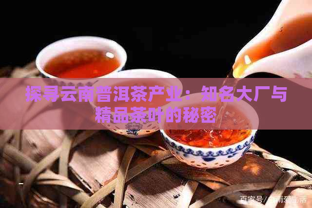 探寻云南普洱茶产业：知名大厂与精品茶叶的秘密