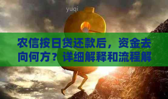 农信按日贷还款后，资金去向何方？详细解释和流程解析