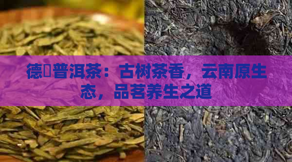 德鳯普洱茶：古树茶香，云南原生态，品茗养生之道