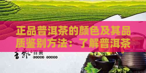 正品普洱茶的颜色及其品质鉴别方法：了解普洱茶的真实面貌